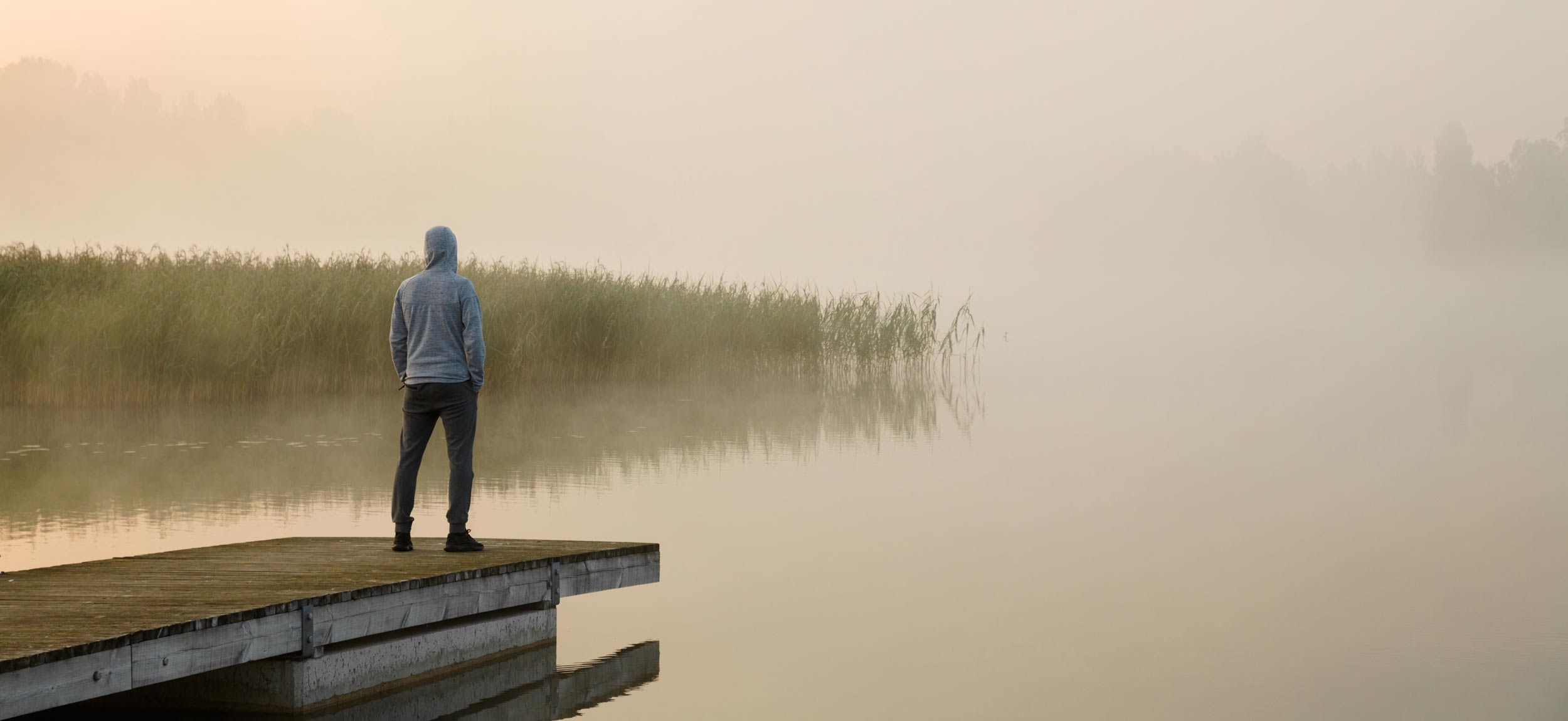 online adult autism assessments by Australian psychologists